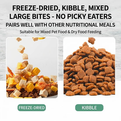 4L Automatic Cat Feeder with Portion Control – Basic, WiFi App & HD Camera Options
