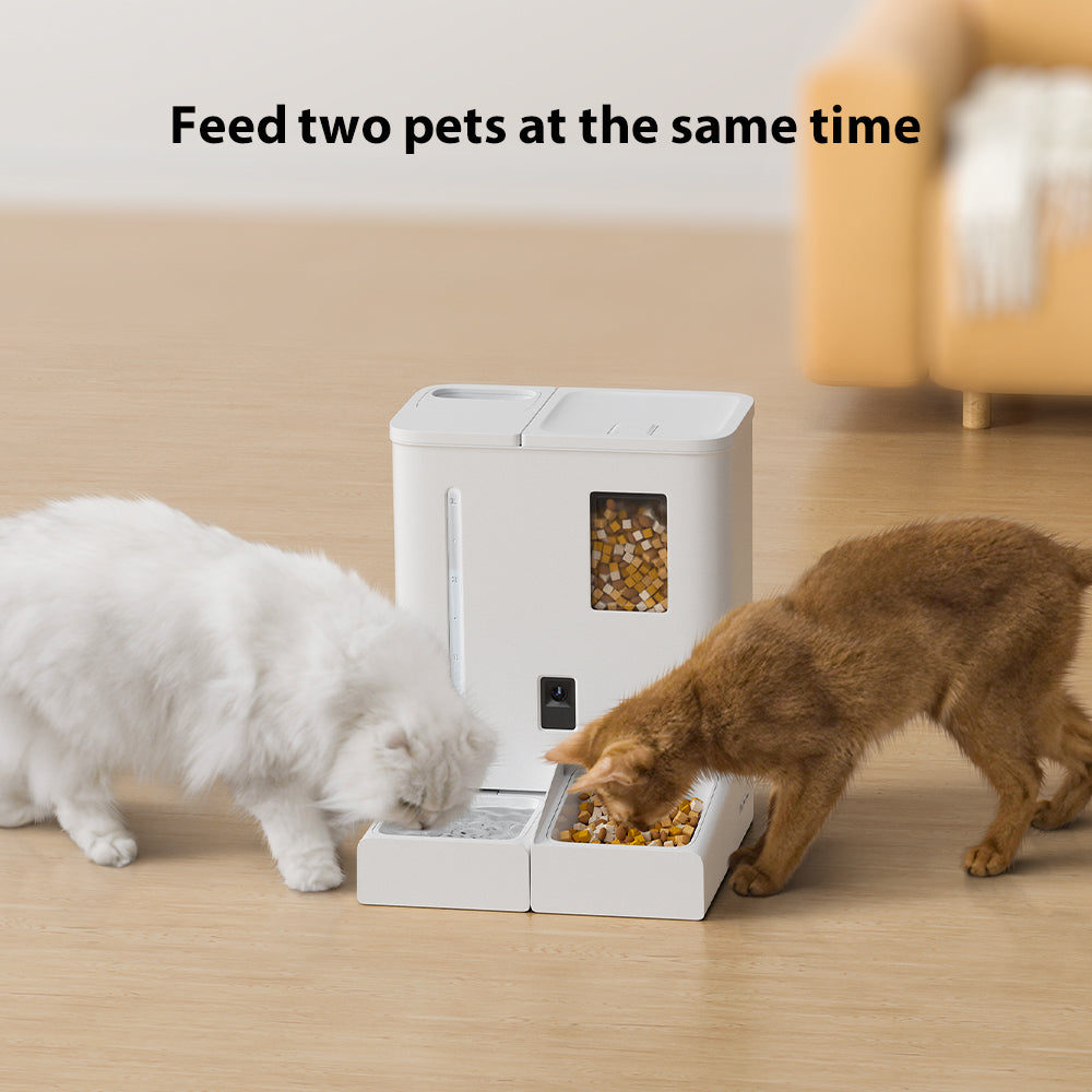 F03 Smart 2-in-1 Pet Water Fountain & Food Feede