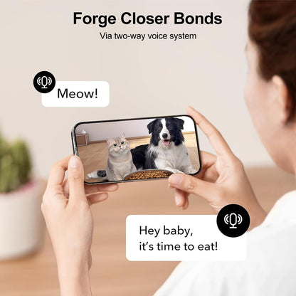 4L Automatic Cat Feeder with Portion Control – Basic, WiFi App & HD Camera Options